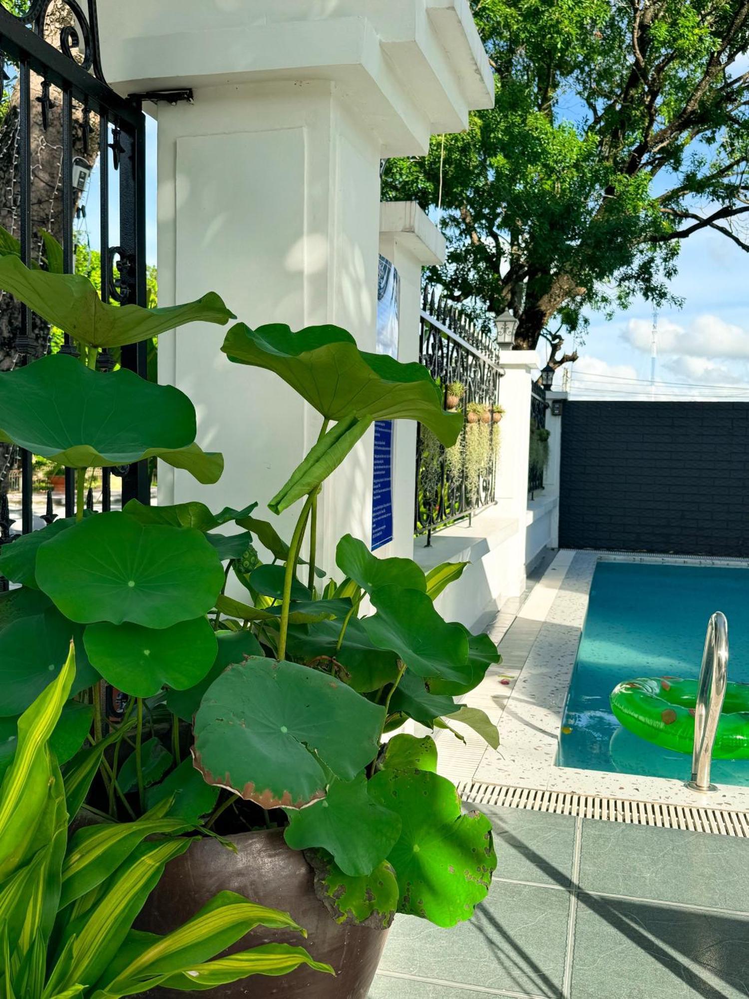Tam Coc Sana Villa & Homestays ニンビン エクステリア 写真