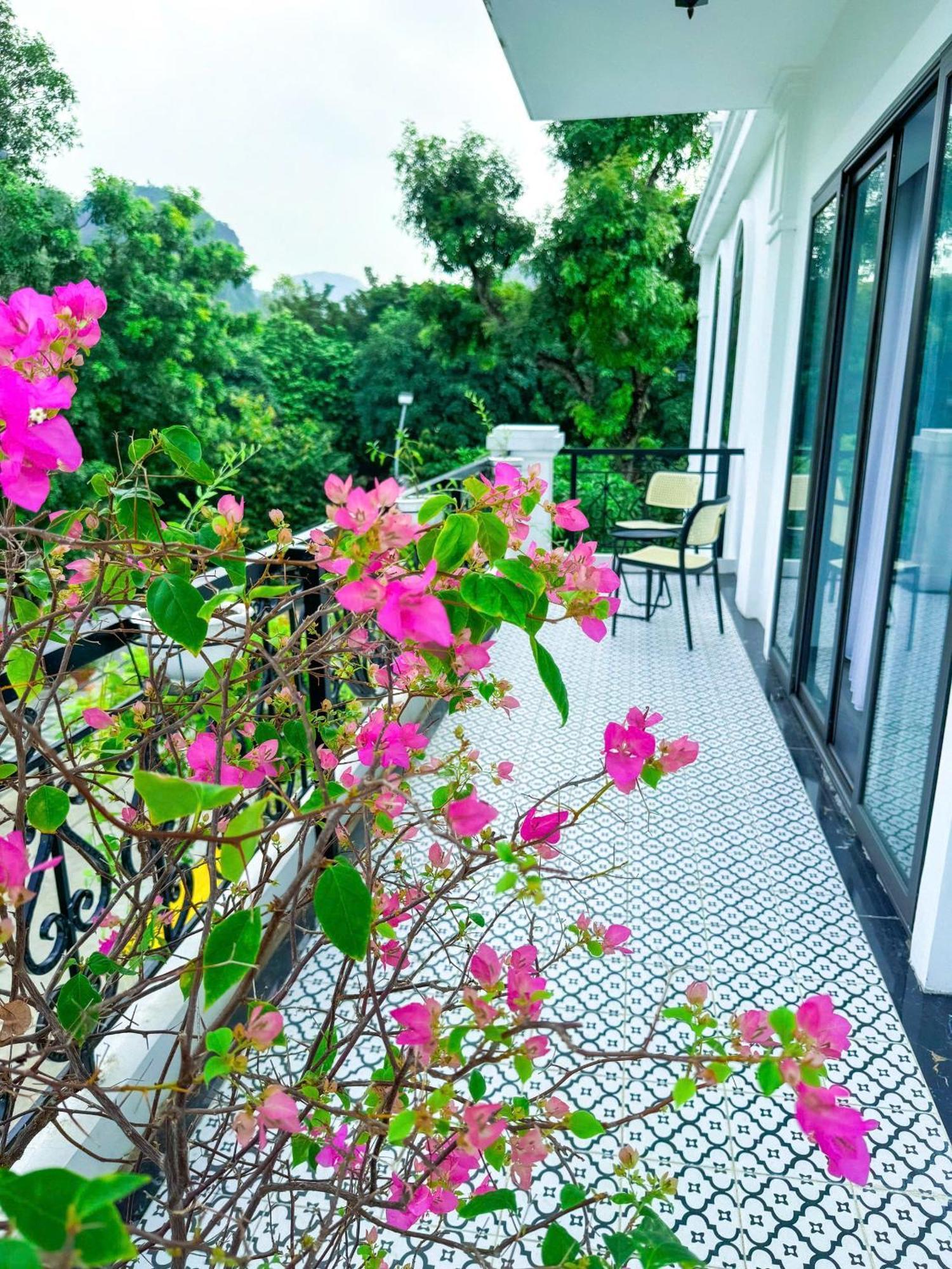 Tam Coc Sana Villa & Homestays ニンビン エクステリア 写真