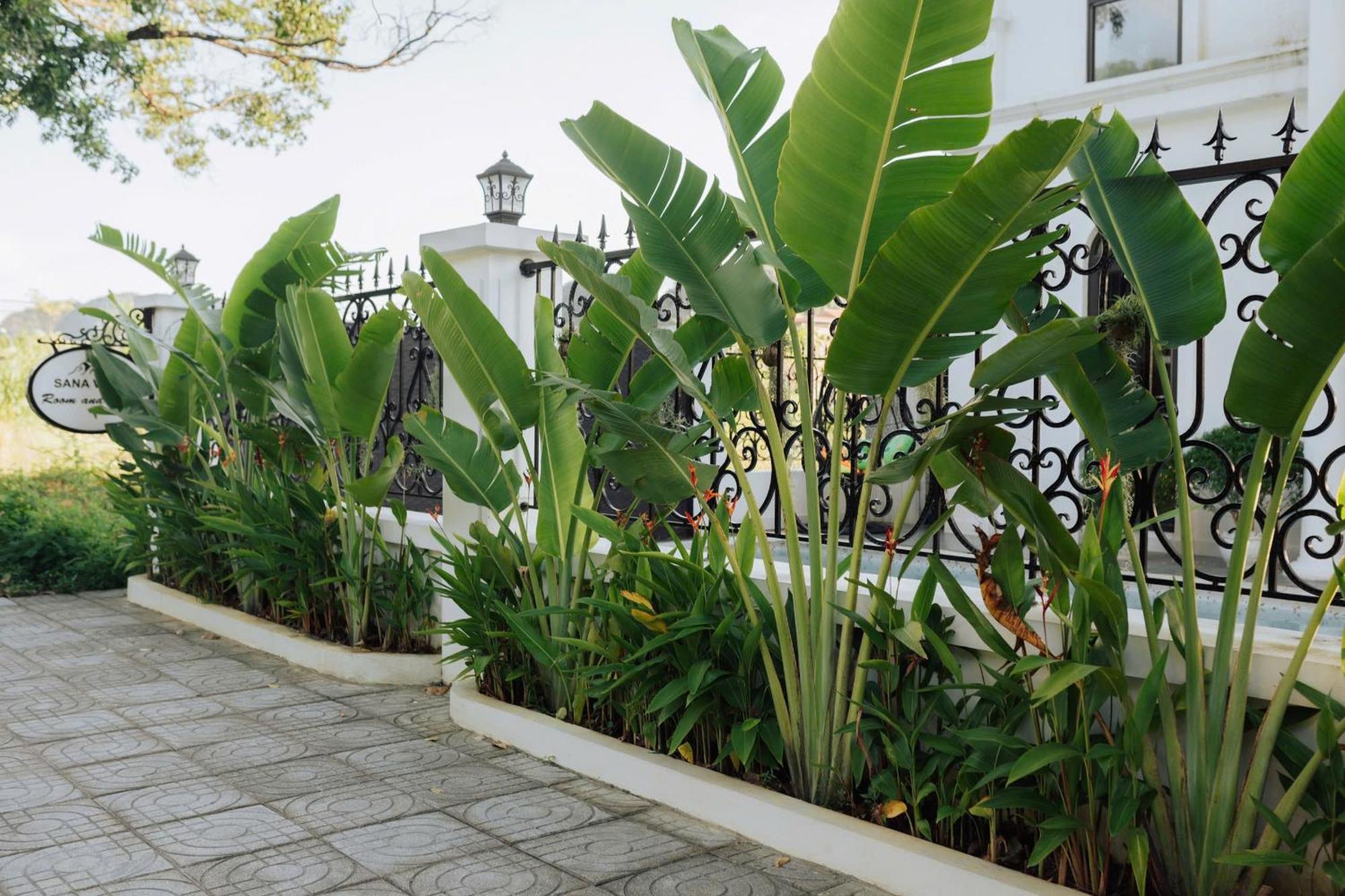 Tam Coc Sana Villa & Homestays ニンビン エクステリア 写真